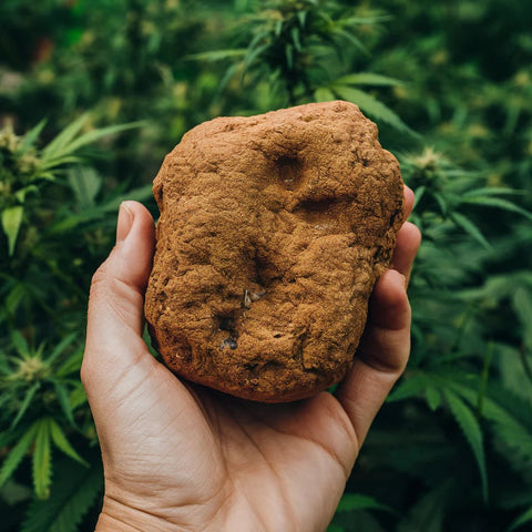 Résines de CBD - Green Potion