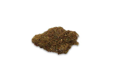 Zombie Tonic GPX