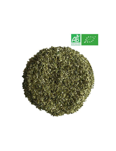 T Maté - Green Potion