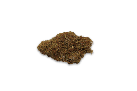 Zombie Tonic GPX - Green Potion